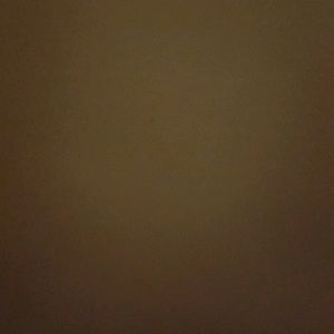 Meet your Posher, Allie